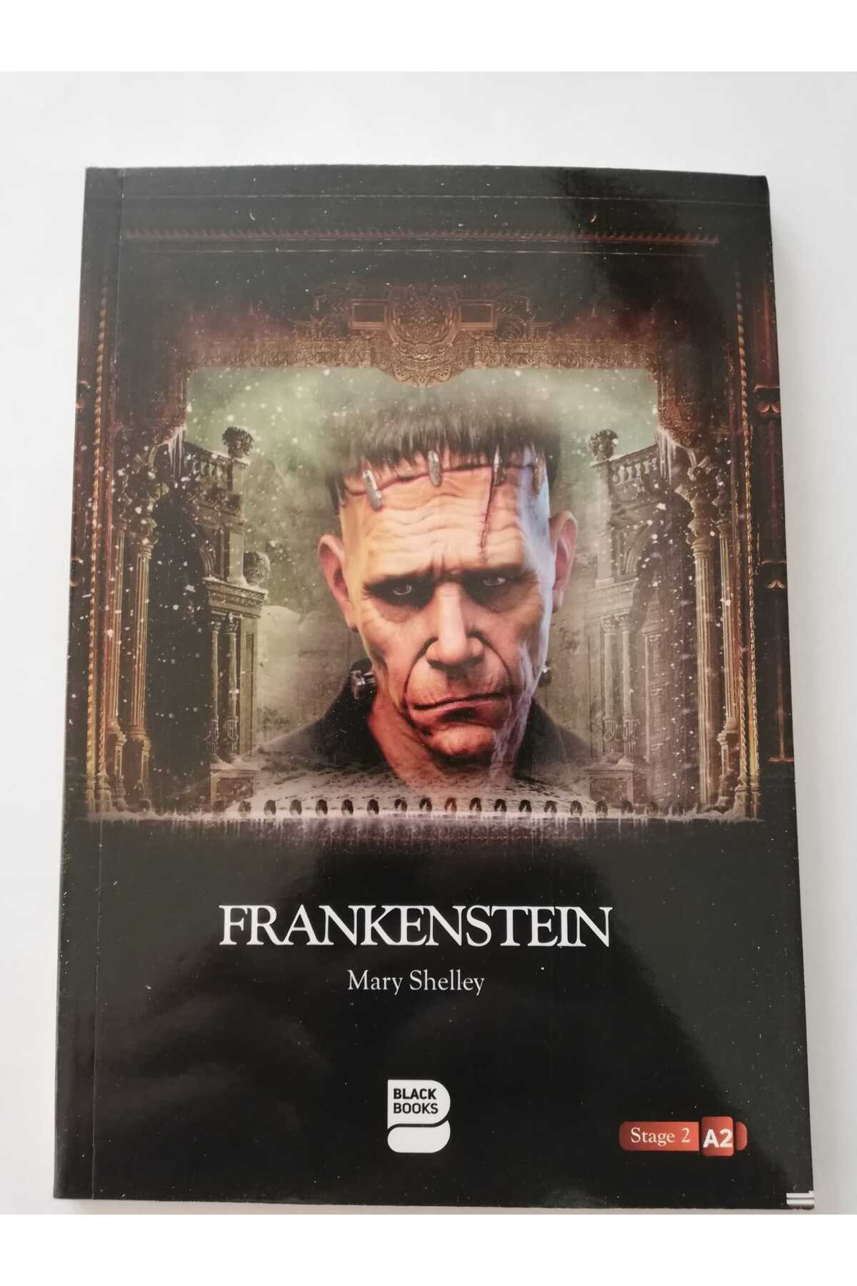 1_org_zoom-106.jpg Frankenstein mary shelley İngilizce stage 2 A2 Elementary - Görsel 1