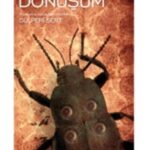 Dönüşüm